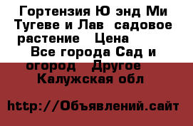 Гортензия Ю энд Ми Тугеве и Лав, садовое растение › Цена ­ 550 - Все города Сад и огород » Другое   . Калужская обл.